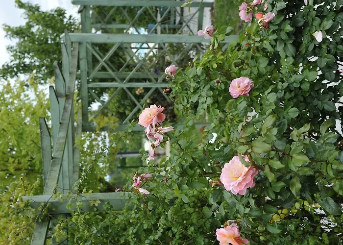 Chambres D'hotes L'en Haut Des Vignes