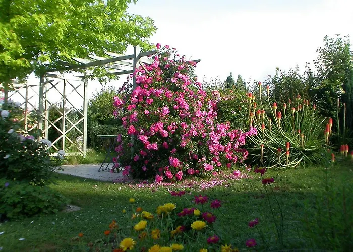 Chambres D'hotes L'en Haut Des Vignes Mérignac